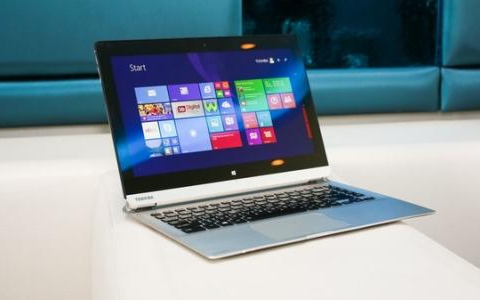 微享加借你用交钱稳过吗？微享加交了担保费必下吗