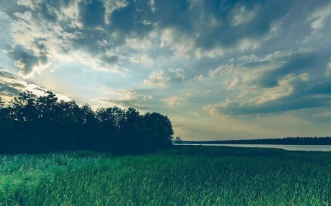 团贷网最新消息，能追回多大比例