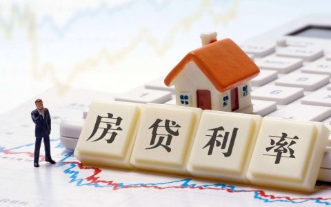 lpr什么意思（LPR的通俗解释）