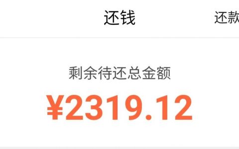 网贷只能以贷养贷，每个月没收入还，是怎么样的体验？