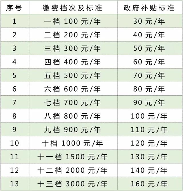 30岁开始缴纳养老金，全自费缴纳20年，能开多少钱？-口子之家