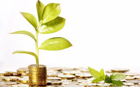 哪个平台是私人借钱？私人借钱24小时在线