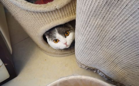 宁波房子还值得买吗，2021宁波各大银行房贷利率分析