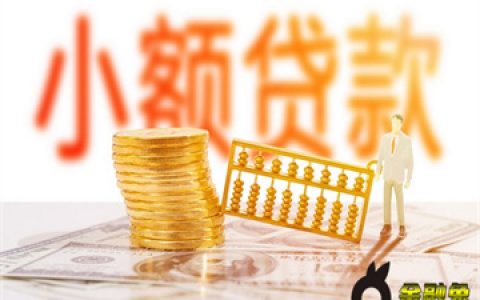 机审1000元秒下款的口子，不查征信不看负债