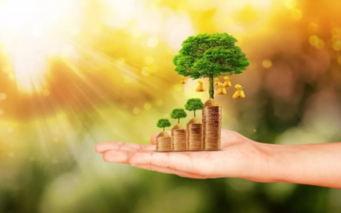 通过率高的网贷平台有哪些?通过率高的网贷平台排名