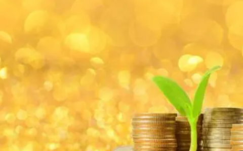 小额贷款不查征信必过有哪些?这4个100%通过率的网贷