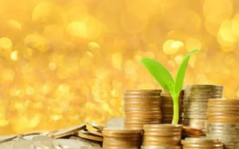 什么地方可以借钱马上到账？什么平台能马上借到钱？