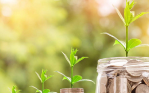 可以借1000的平台秒下款,最好借钱的1000元贷款