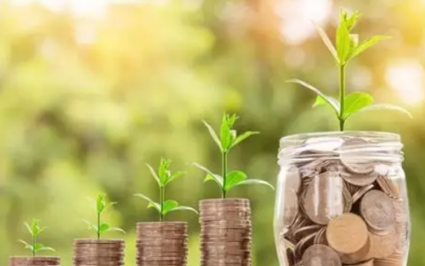 小贷平台哪个好借款，哪个正规平台借钱利息最低