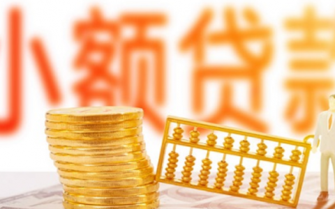 2021不看大数据的网贷，不审核直接放款1000