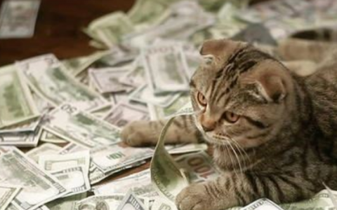 手机借钱哪个容易通过?2022容易贷款的软件