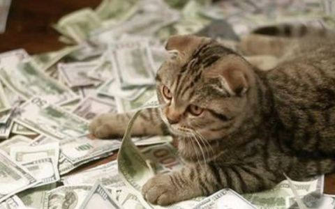 哪个借款平台利息最低最正规?正规靠谱的良心贷款平台