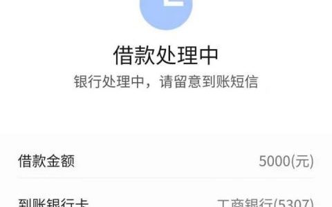 花鸭借钱审核多久，花鸭借钱不打回访秒批秒下