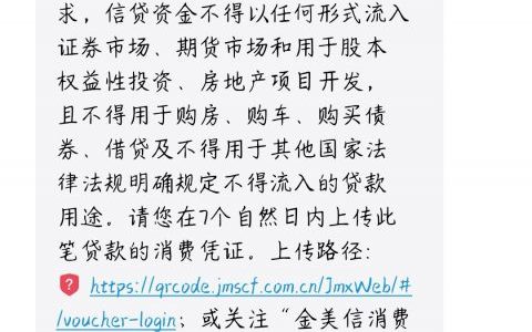 金美信消费金融是什么平台，金美信居然下款了