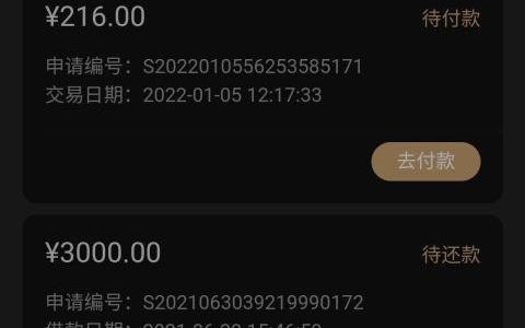 2022金瀛分期app官方下载，金瀛分期安卓苹果入口