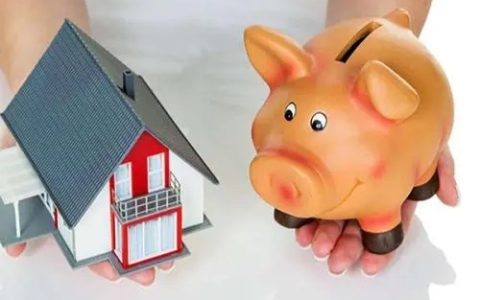 榕树贷款怎么样靠谱吗好下款吗？榕树贷款上征信查征信吗？