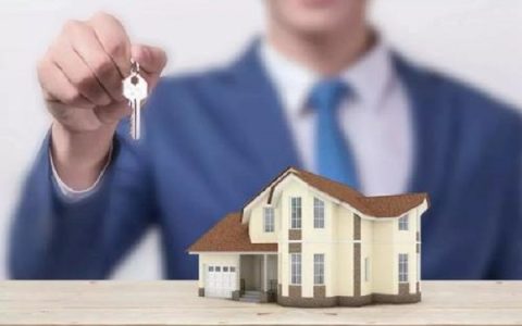 京东白条和花呗是不是差不多，区别是什么？