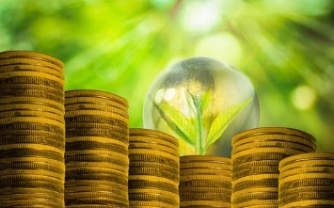 银行贷款跟金融贷款有什么不同?两者对比分析