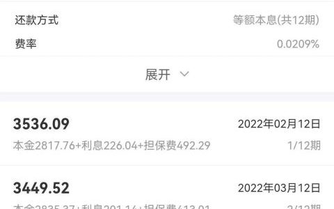 任性贷有额度能借出来吗，任性贷借款流程