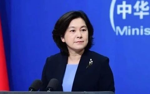 华春莹连发11组推文驳斥布林肯