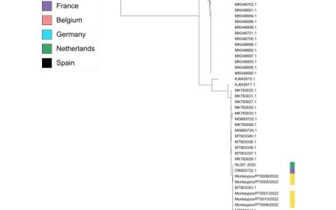 猴痘已在欧洲发生大规模社区传播