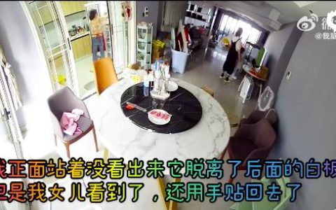 小米回应电视屏幕自动脱落