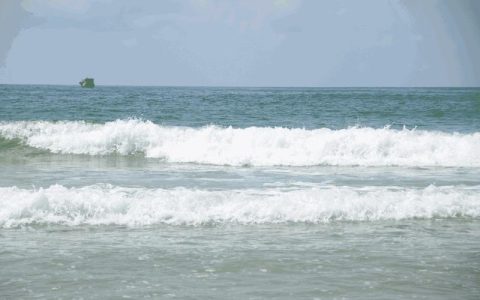 “专家建议”让我一天亏了20万