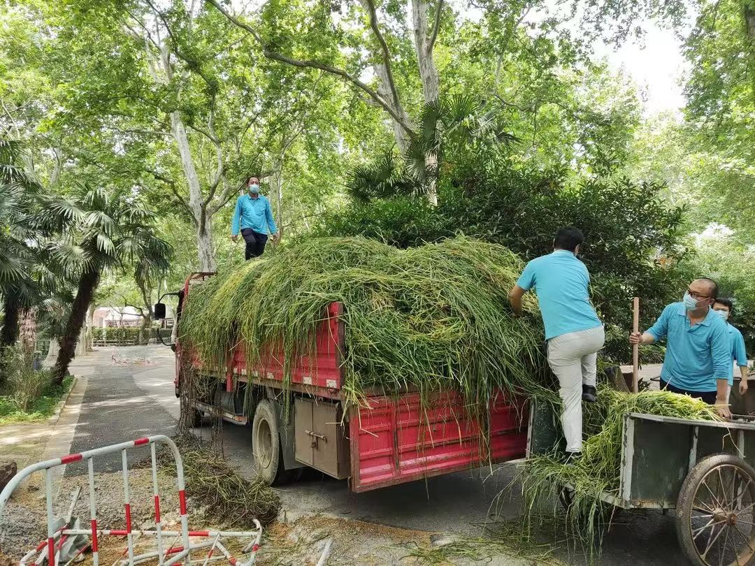 与5000多只动物一起“闭关”的78天