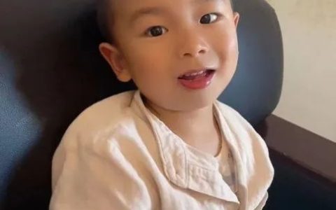 2岁男童与狗院内走失 8天后狗回家