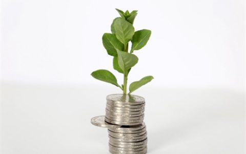 查看内容 网络贷款冻结资金是怎么回事