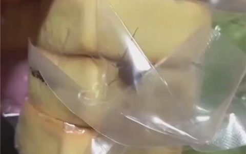 男子称网购稻香村糕点发现活蟑螂