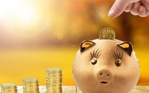 小额贷款平台哪个好下款，应急借款1000元的口子