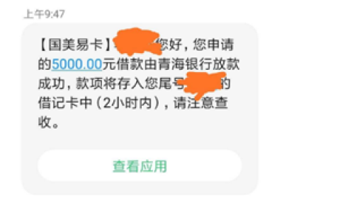 国美易卡是匹配第三方放款吗,国美易卡怎么样