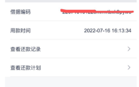 安逸花出了额度就能下款吗,2022年安逸花是不是停了