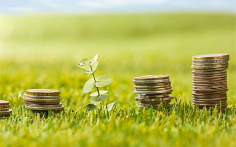 征信没问题申请信用卡被拒