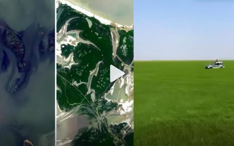 鄱阳湖河床变草原 当地人开车飞驰