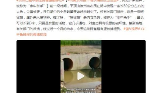 河南汝州巨型怪鱼系高危外来生物