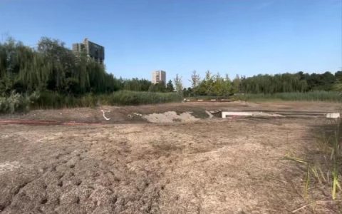 专家谈汝州“怪鱼”:会攻击人