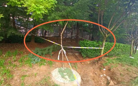 青岛6岁男童坠井不幸身亡