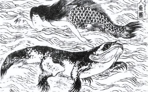 美人鱼原型在中国灭绝