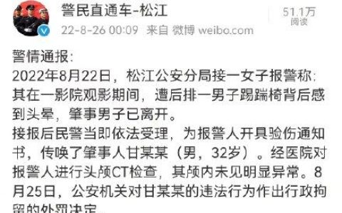 女子影院被熊孩子家长踹伤 警方通报