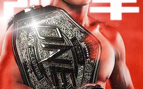 中国首个男子MMA世界冠军