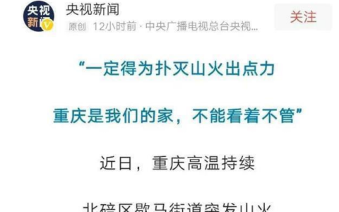 00后骑士龙麻子的车将入博物馆