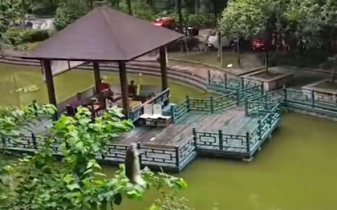 成都女子居家静默目睹邻居钓鱼