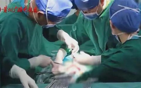 女子喜提四胞胎取名为花好月圆