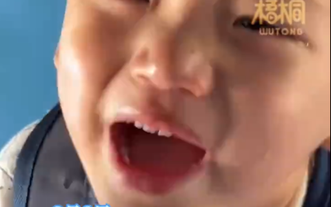 萌娃不愿上自己家族的幼儿园