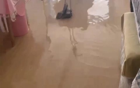 猫咪趁主人睡觉开闸放水淹了家