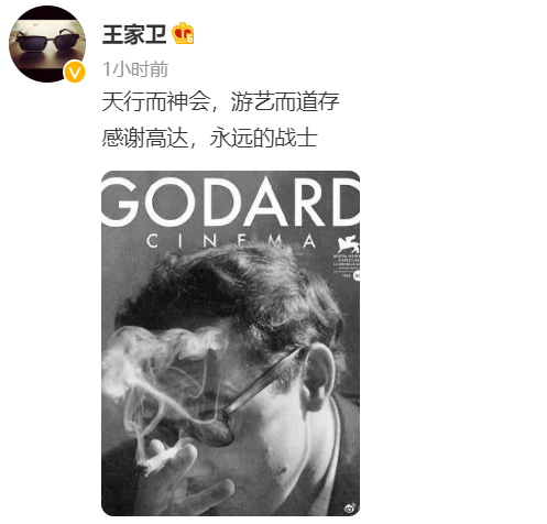 戈达尔选择安乐死离世