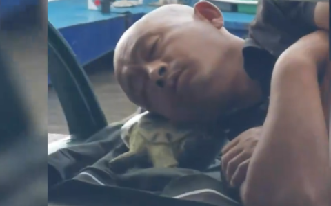 大爷将乌龟当枕头躺江边熟睡
