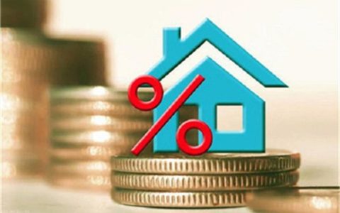 lpr利率如何查询